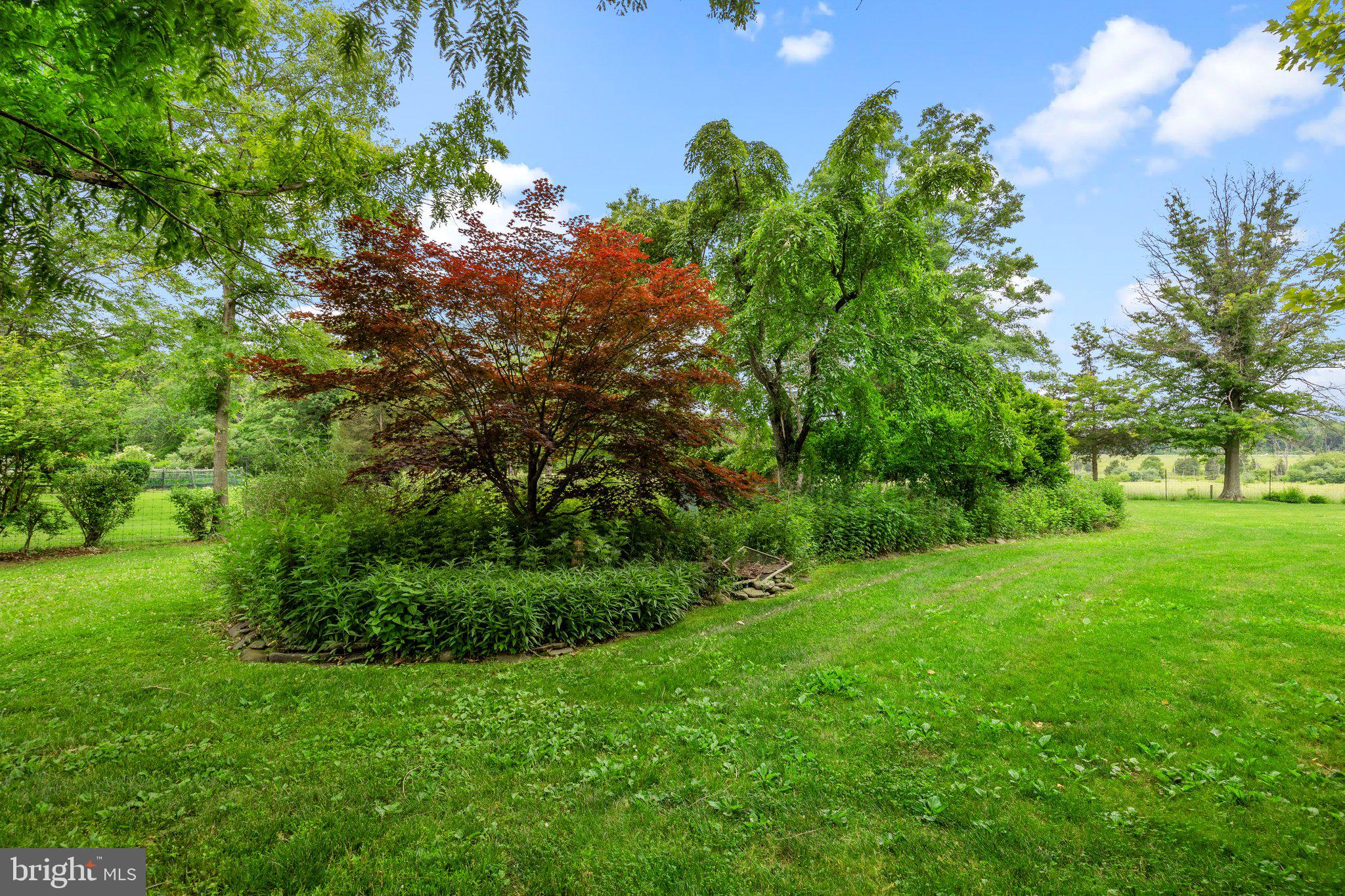 8 Cleveland Road Princeton, NJ 08540 - Photo 36 of 46
