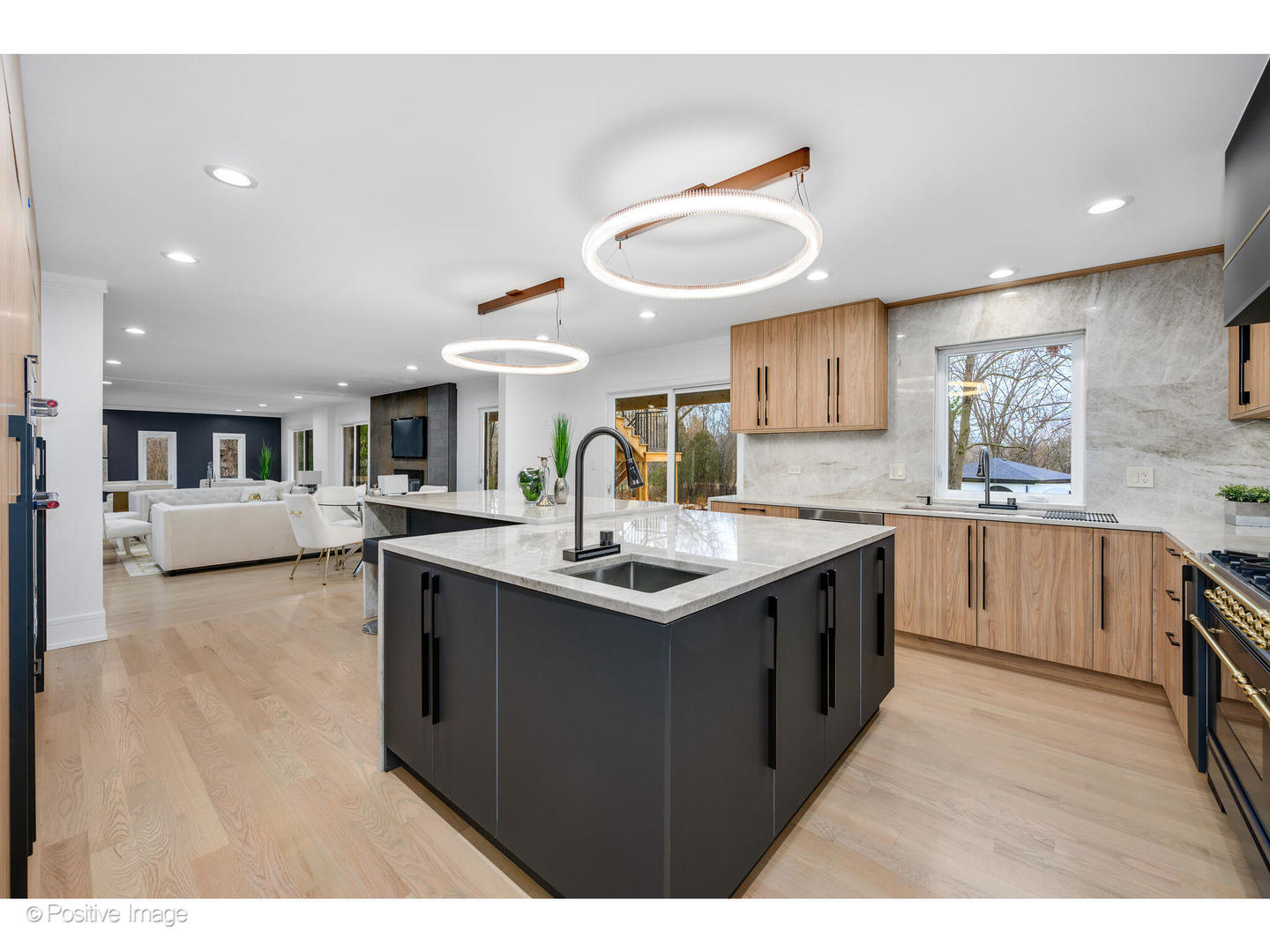 2005 Malory Lane Highland Park, IL 60035 - Photo 14 of 48 a kitchen with stainless steel appliances granite countertop a sink and stove