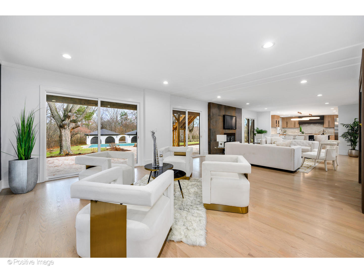 2005 Malory Lane Highland Park, IL 60035 - Photo 15 of 48 a living room with furniture and a large window