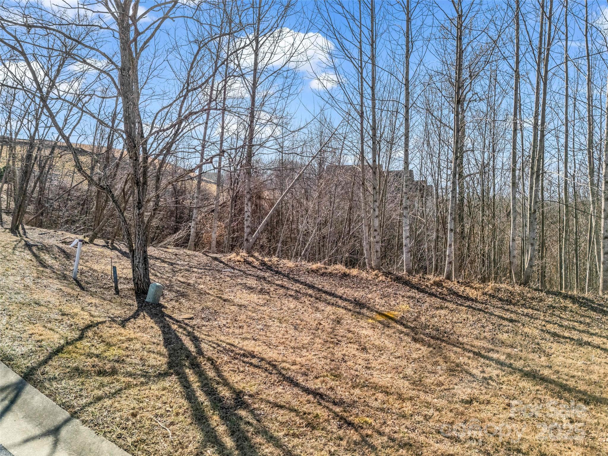 1509 Summit Hill Road Hendersonville, NC 28791 - Photo 11 of 28