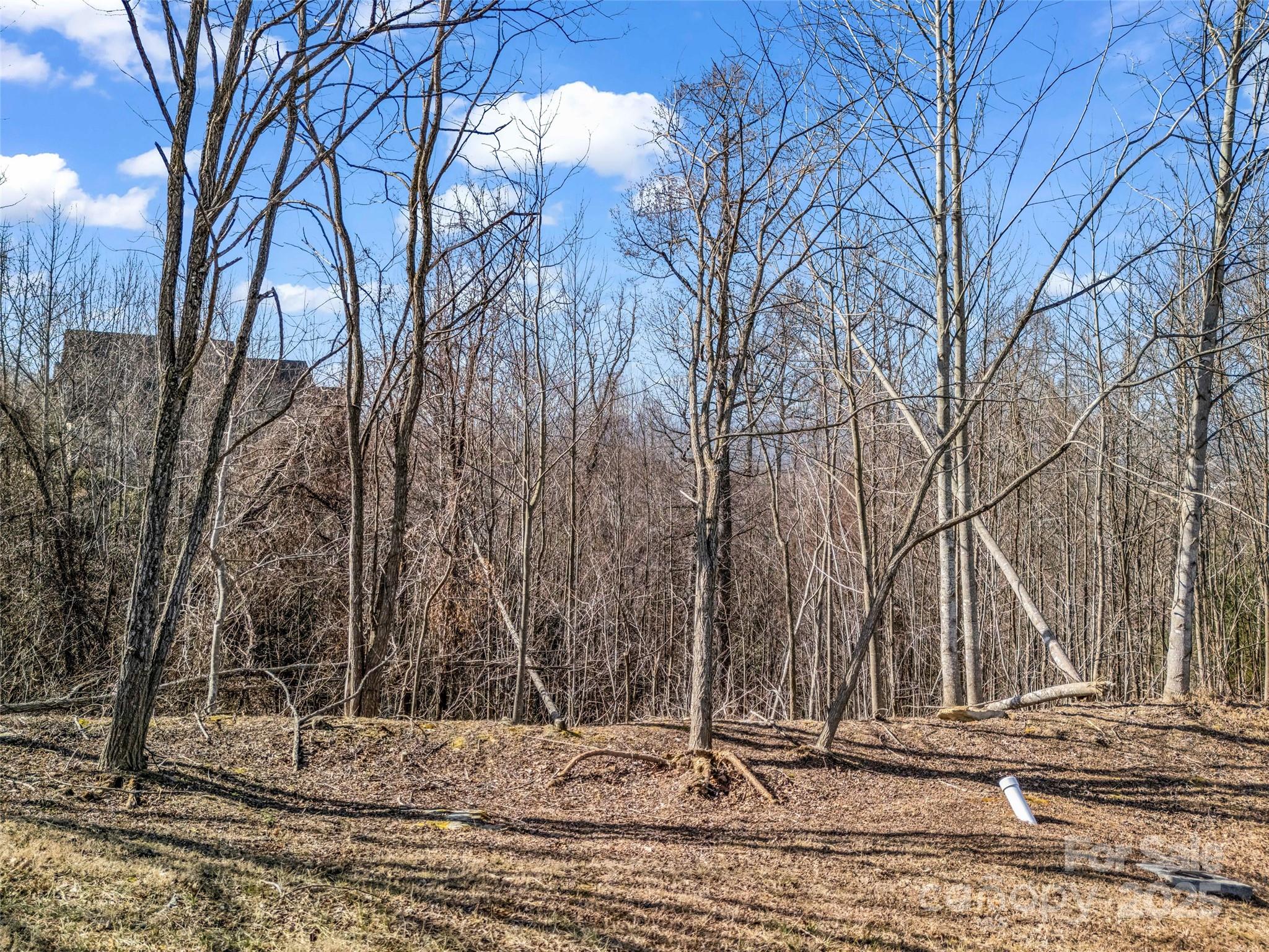 1509 Summit Hill Road Hendersonville, NC 28791 - Photo 12 of 28