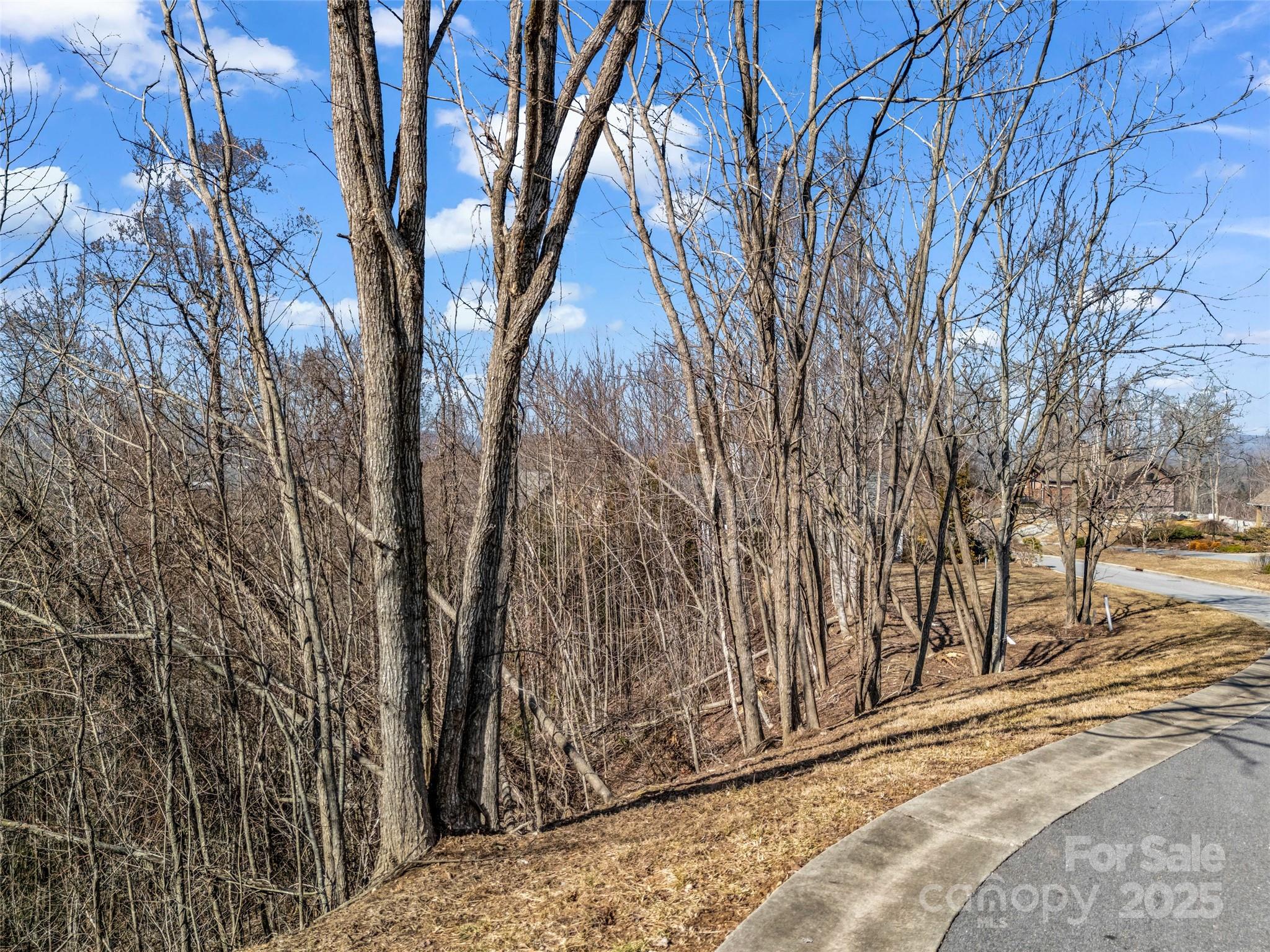 1509 Summit Hill Road Hendersonville, NC 28791 - Photo 13 of 28