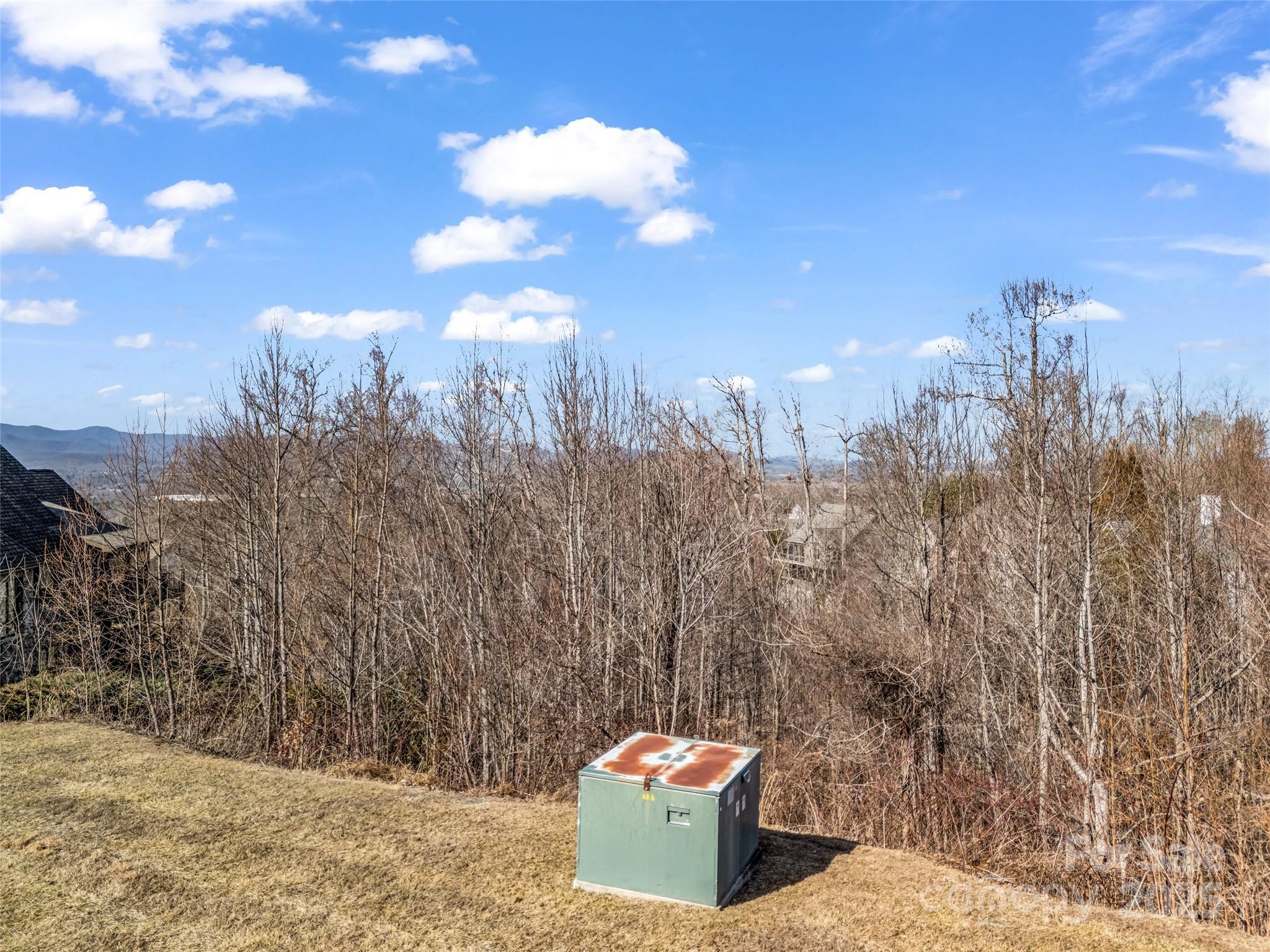 1509 Summit Hill Road Hendersonville, NC 28791 - Photo 15 of 28