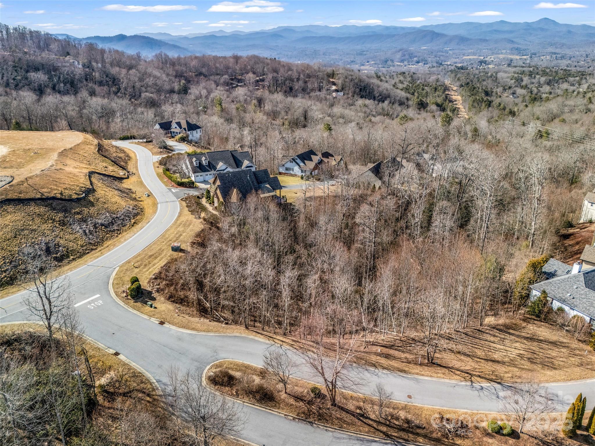 1509 Summit Hill Road Hendersonville, NC 28791 - Photo 27 of 28