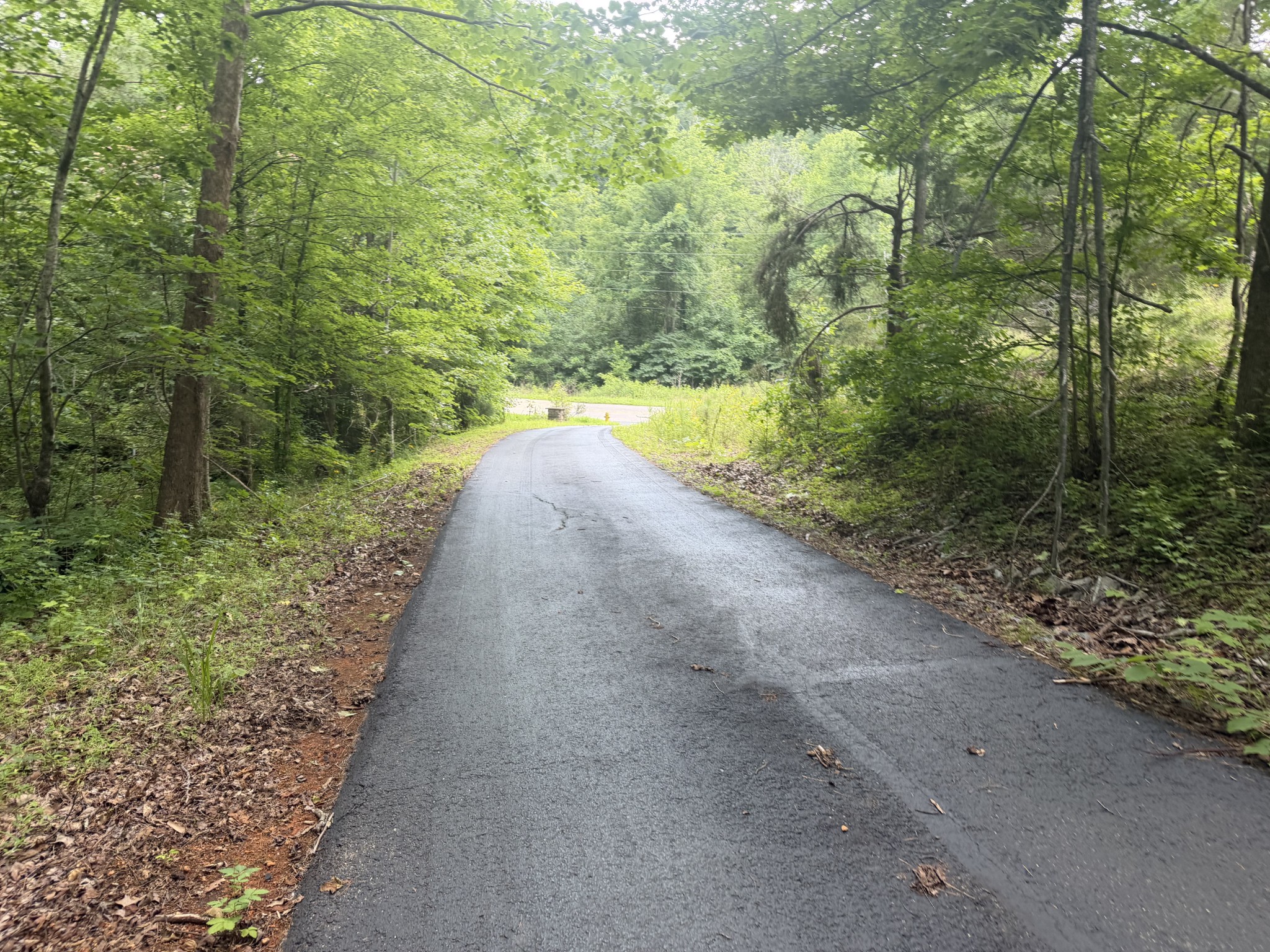 232 Cane Creek Road Hohenwald, TN 38462 - Photo 91 of 91