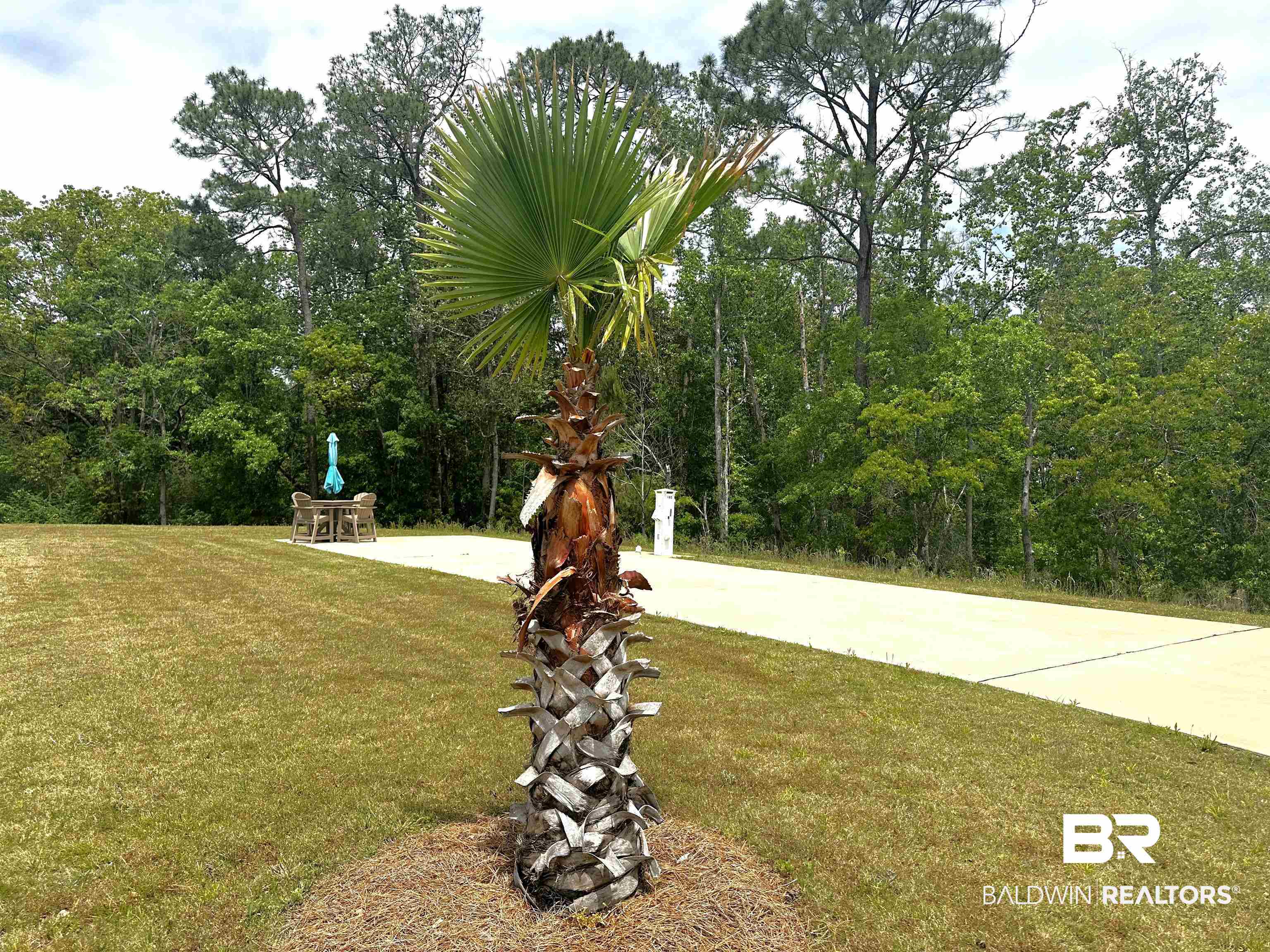 12489 Gateway Drive Elberta, AL 36530 - Photo 3 of 55 View of yard