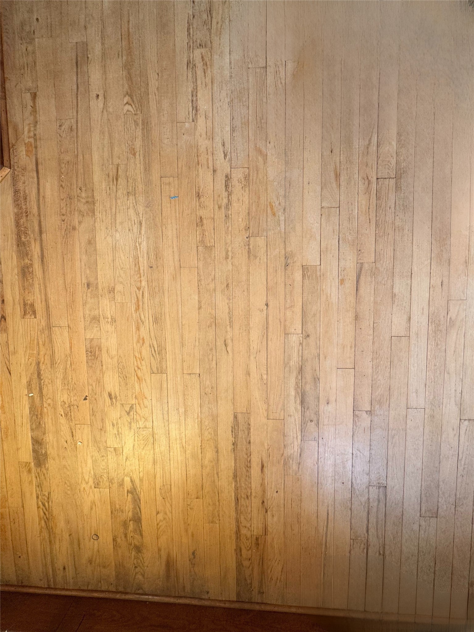 25 Main Street Dutton, MT 59433 - Photo 19 of 29 Original hardwood in office