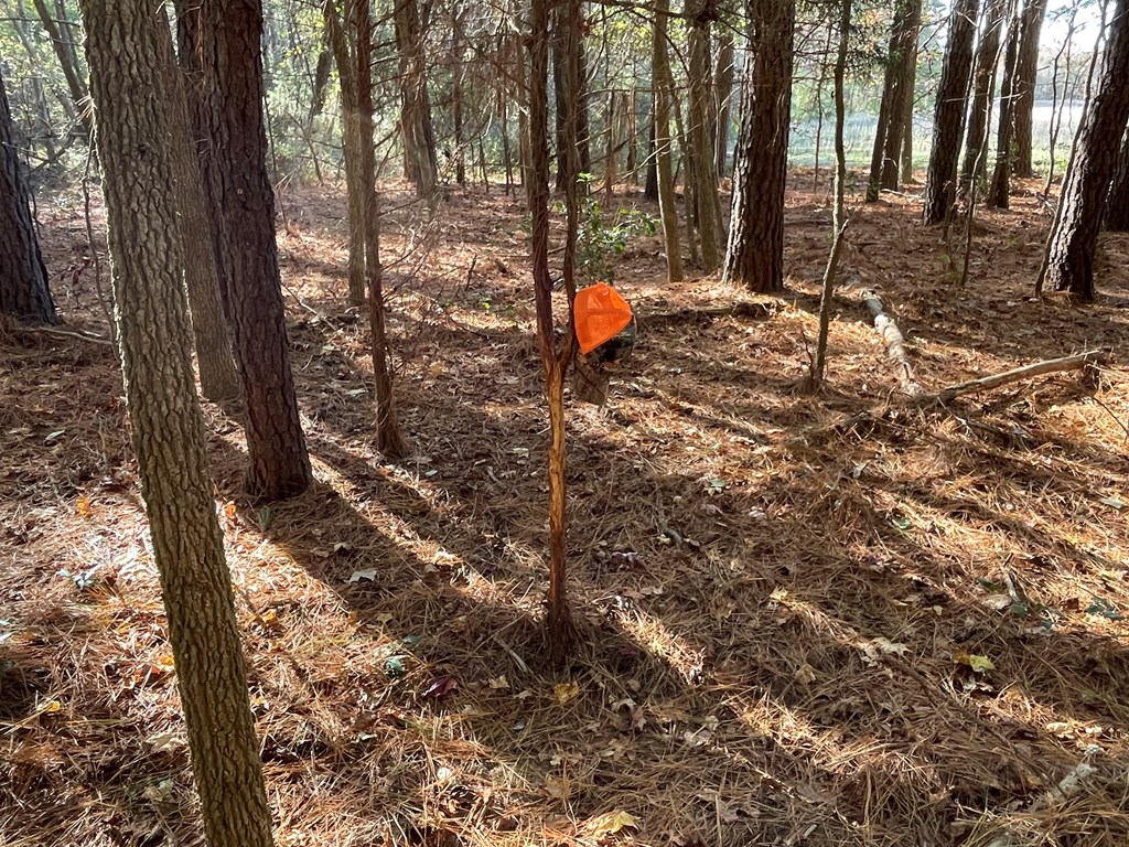 8-acres Redwood Road Onancock, VA 23417 - Photo 26 of 28