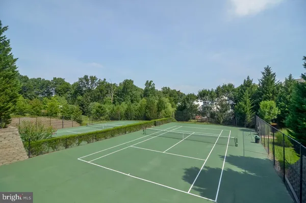 a view of a garden with lawn chairs