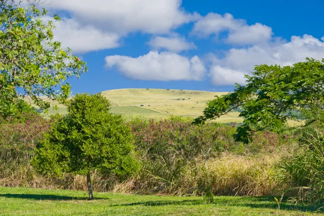 $425,000 | 95-6253 Makai Street, Naalehu, HI 96772
