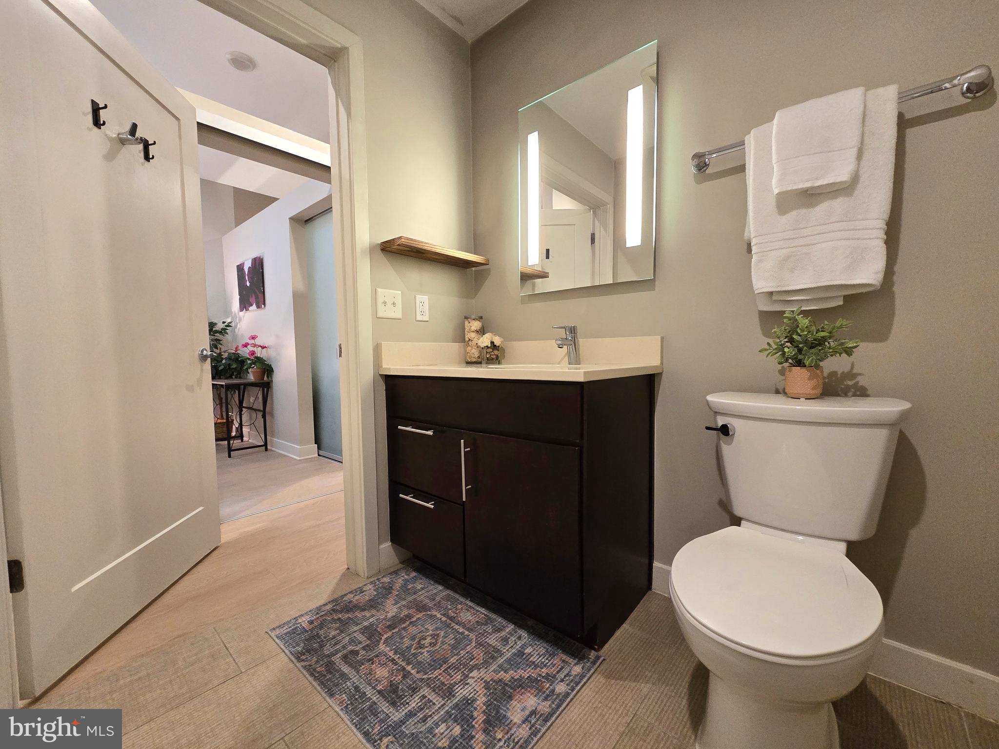 1320 Fenwick Lane, Unit 6 Silver Spring, MD 20910 - Photo 18 of 45 Full Bath