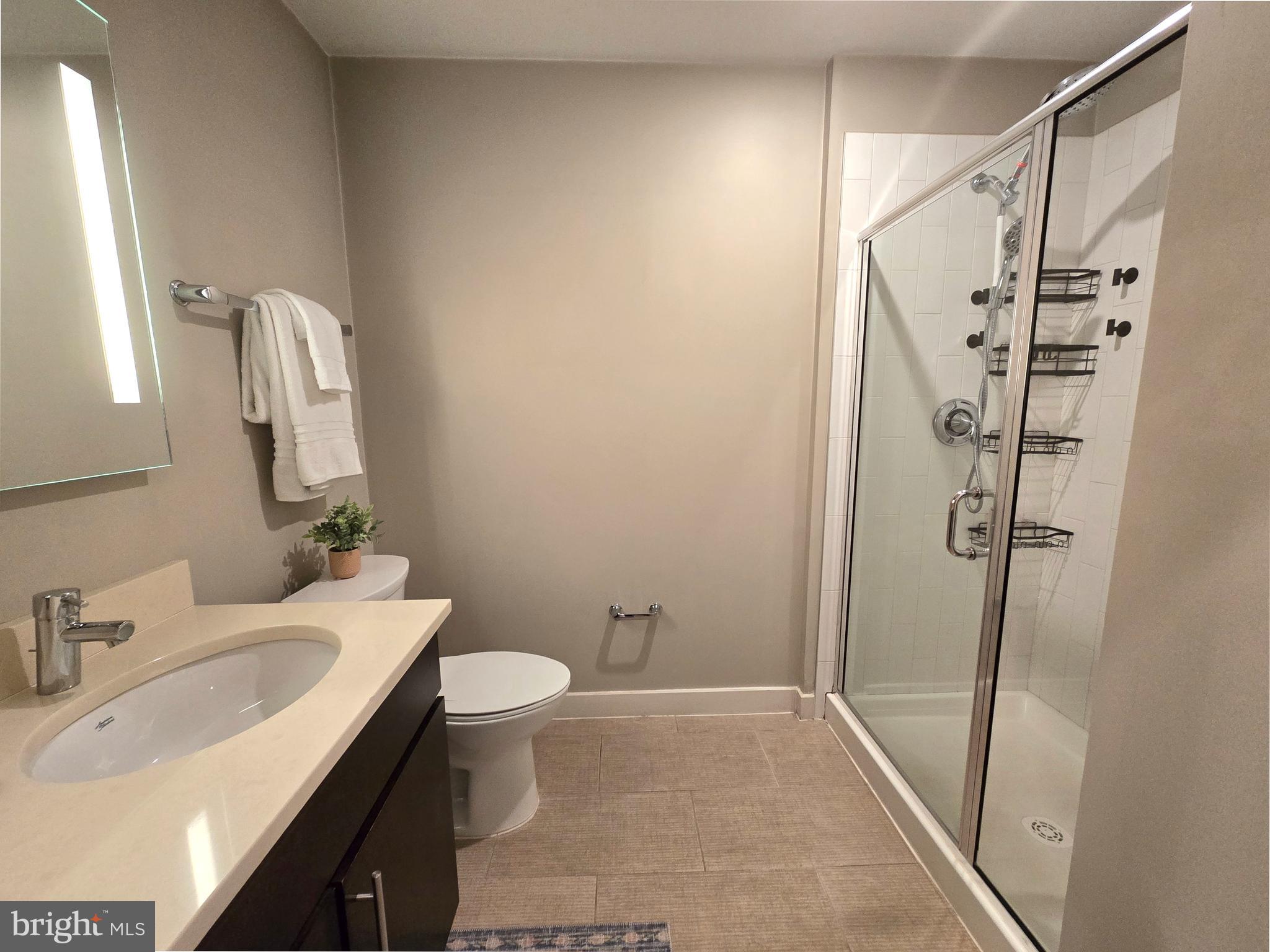 1320 Fenwick Lane, Unit 6 Silver Spring, MD 20910 - Photo 19 of 45 Full Bath