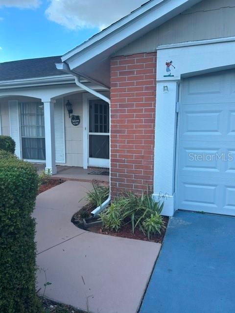 3438 Moog Road Holiday, FL 34691 - Photo 8 of 38