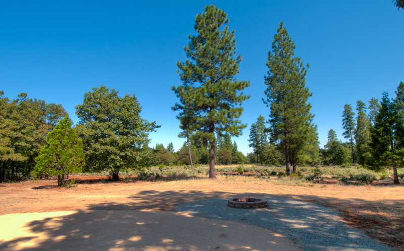 10672 Ridgetop Road Whitmore, CA 96096 - Photo 5 of 20 a view of a yard with plants and trees