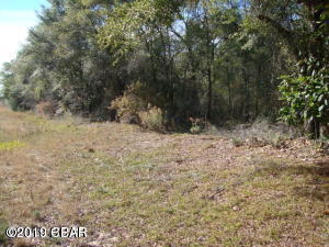Lot 5 Dumajack Road Chipley, FL 32428 - Photo 3 of 3 Gallery Image 3