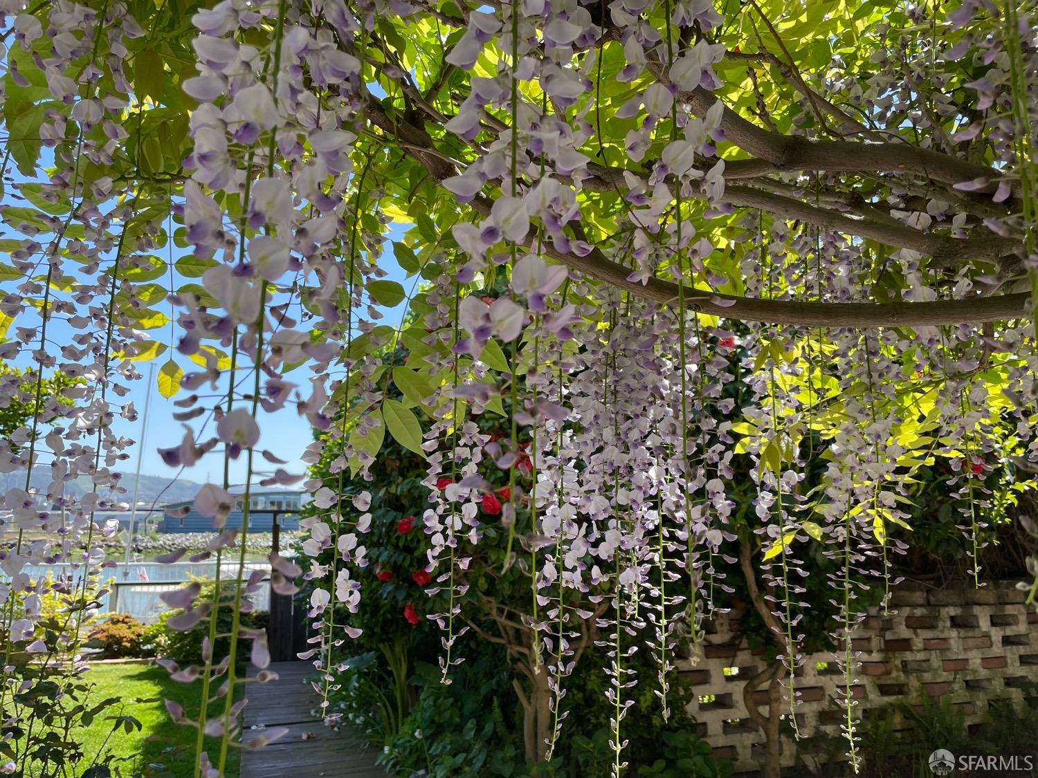 3231 Fernside Boulevard Alameda, CA 94501 - Photo 33 of 38 a view of flowers in a garden