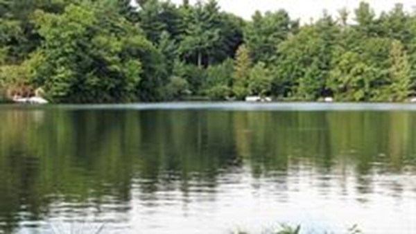 14 Edgewood Road Westminster, MA 01473 - Photo 3 of 14