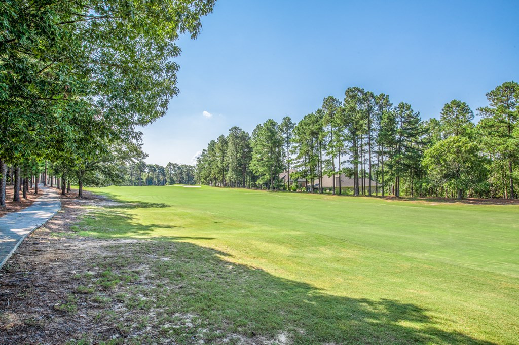 Lot 382 Forest Pines Road Aiken, SC 29803 - Photo 4 of 6 Gallery Image 4