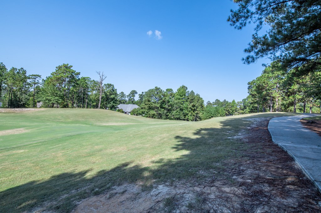 Lot 382 Forest Pines Road Aiken, SC 29803 - Photo 5 of 6 Gallery Image 5