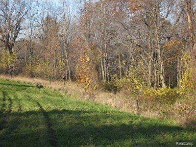 Vacant Blood Road Metamora, MI 48455 - Photo 6 of 9 IMG_3352.JPG