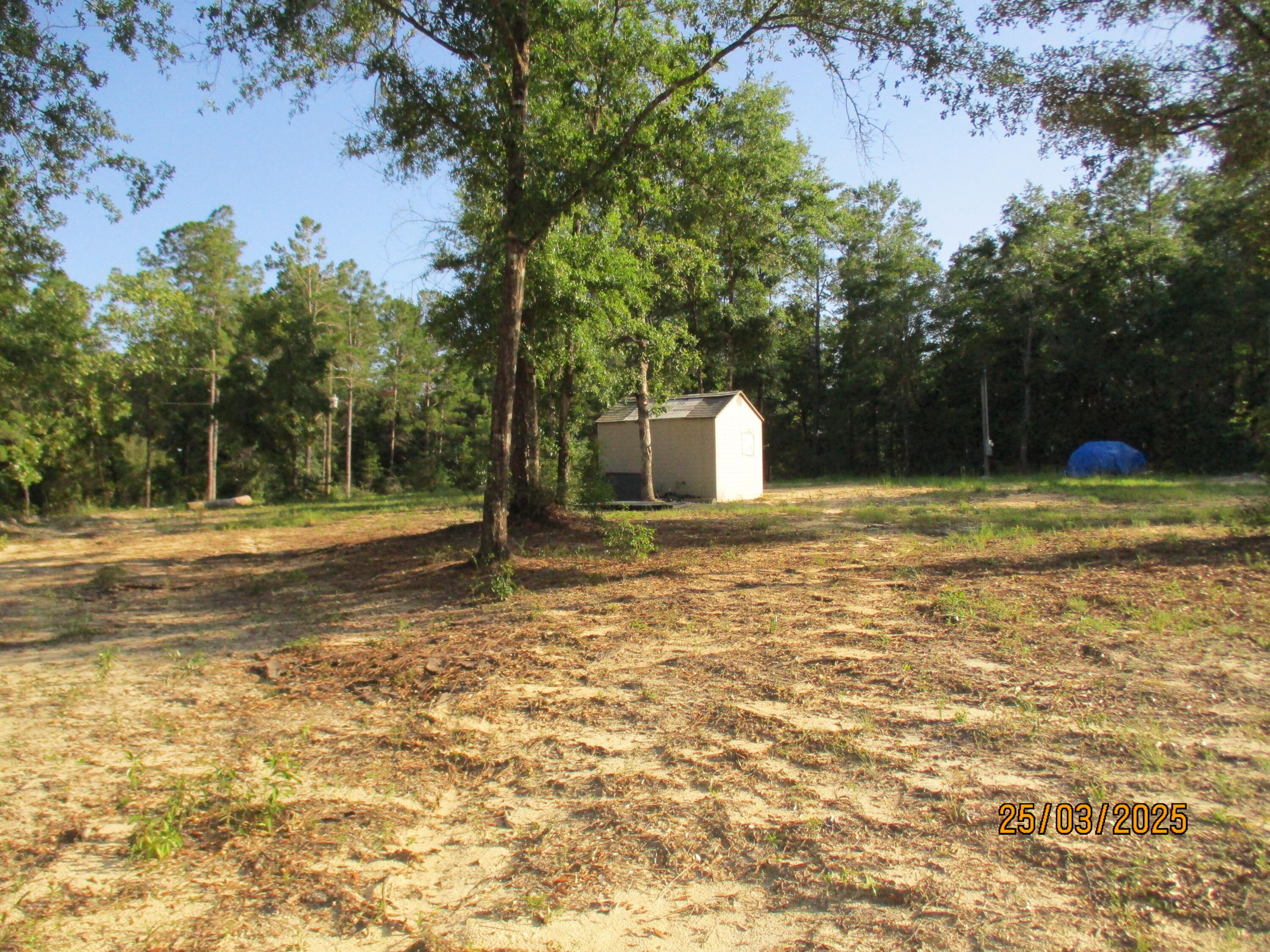 5410 Fawn Lake Road Crestview, FL 32539 - Photo 11 of 52 IMG_2899
