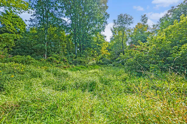 $14,900 | V/l South Maple Island Road, Fremont, MI 49412