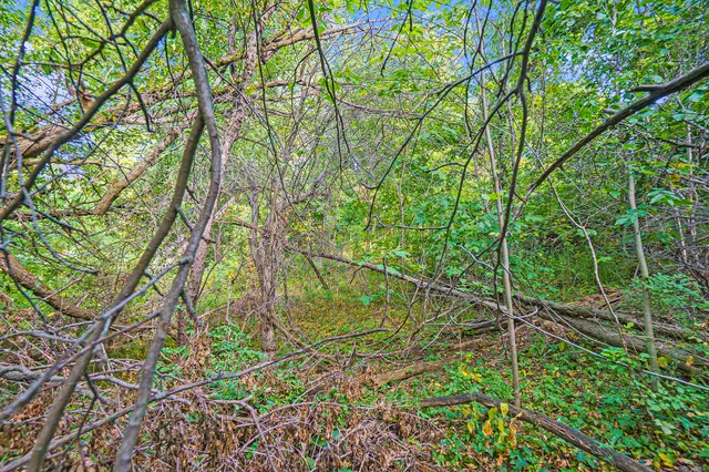 $14,900 | V/l South Maple Island Road, Fremont, MI 49412