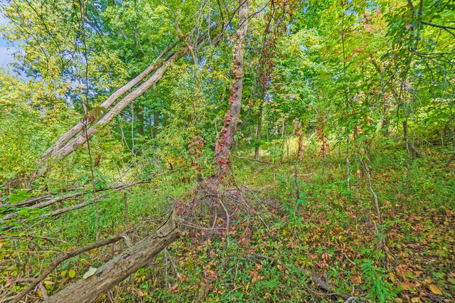 $14,900 | V/l South Maple Island Road, Fremont, MI 49412