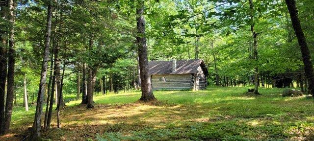 2015002 West Indian Road Lincoln, ME 04457 - Photo 11 of 51 Woodville Cabin