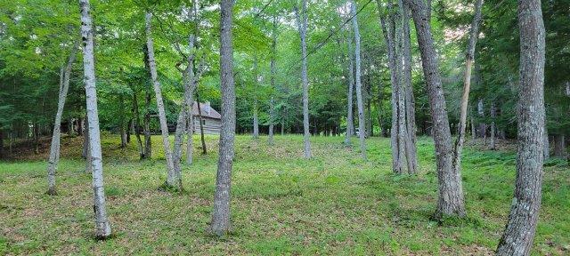 2015002 West Indian Road Lincoln, ME 04457 - Photo 13 of 51 Woodville Cabin