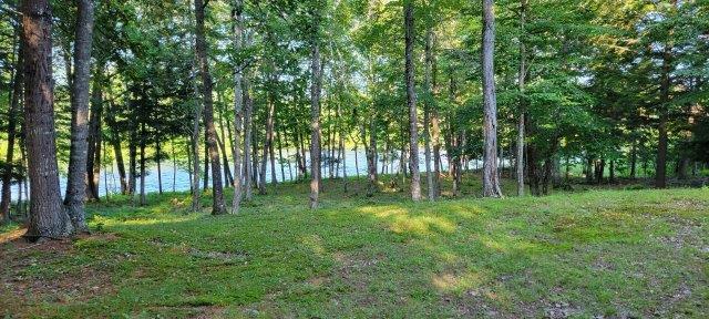 2015002 West Indian Road Lincoln, ME 04457 - Photo 16 of 51 Woodville Cabin