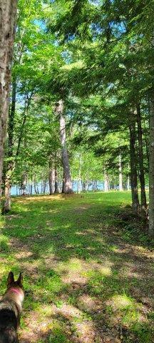 2015002 West Indian Road Lincoln, ME 04457 - Photo 17 of 51 Woodville Cabin