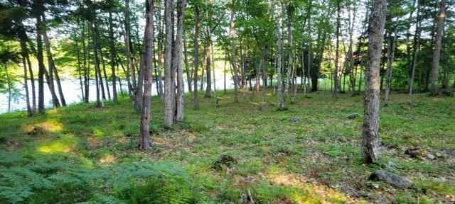 2015002 West Indian Road Lincoln, ME 04457 - Photo 18 of 51 Woodville Cabin