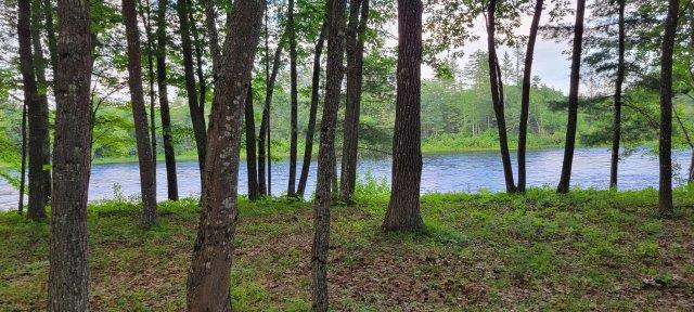 2015002 West Indian Road Lincoln, ME 04457 - Photo 20 of 51 Woodville Cabin