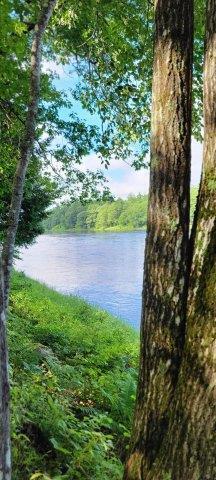 2015002 West Indian Road Lincoln, ME 04457 - Photo 27 of 51 Woodville Cabin