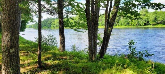 2015002 West Indian Road Lincoln, ME 04457 - Photo 28 of 51 Woodville Cabin