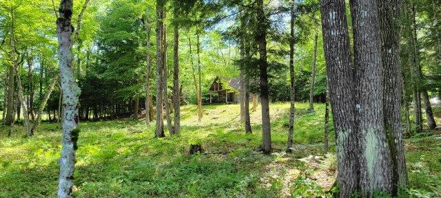 2015002 West Indian Road Lincoln, ME 04457 - Photo 29 of 51 Woodville Cabin