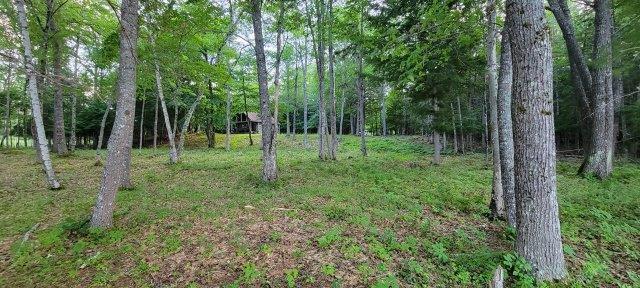 2015002 West Indian Road Lincoln, ME 04457 - Photo 30 of 51 Woodville Cabin