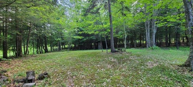 2015002 West Indian Road Lincoln, ME 04457 - Photo 31 of 51 Woodville Cabin