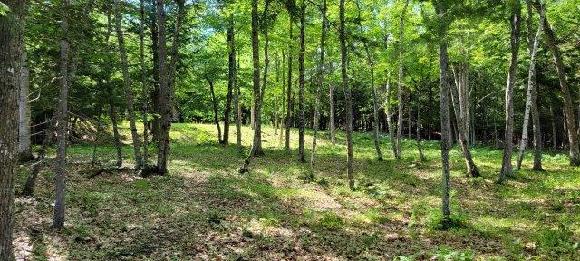 2015002 West Indian Road Lincoln, ME 04457 - Photo 32 of 51 Woodville Cabin