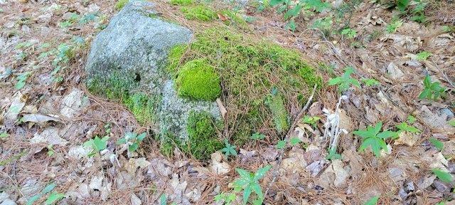 2015002 West Indian Road Lincoln, ME 04457 - Photo 35 of 51 Woodville Cabin