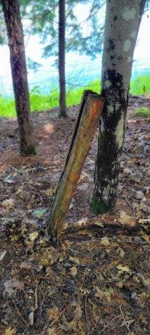 2015002 West Indian Road Lincoln, ME 04457 - Photo 48 of 51 Woodville Cabin