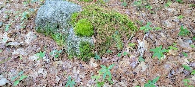 2015002 West Indian Road Lincoln, ME 04457 - Photo 49 of 51 Woodville Cabin