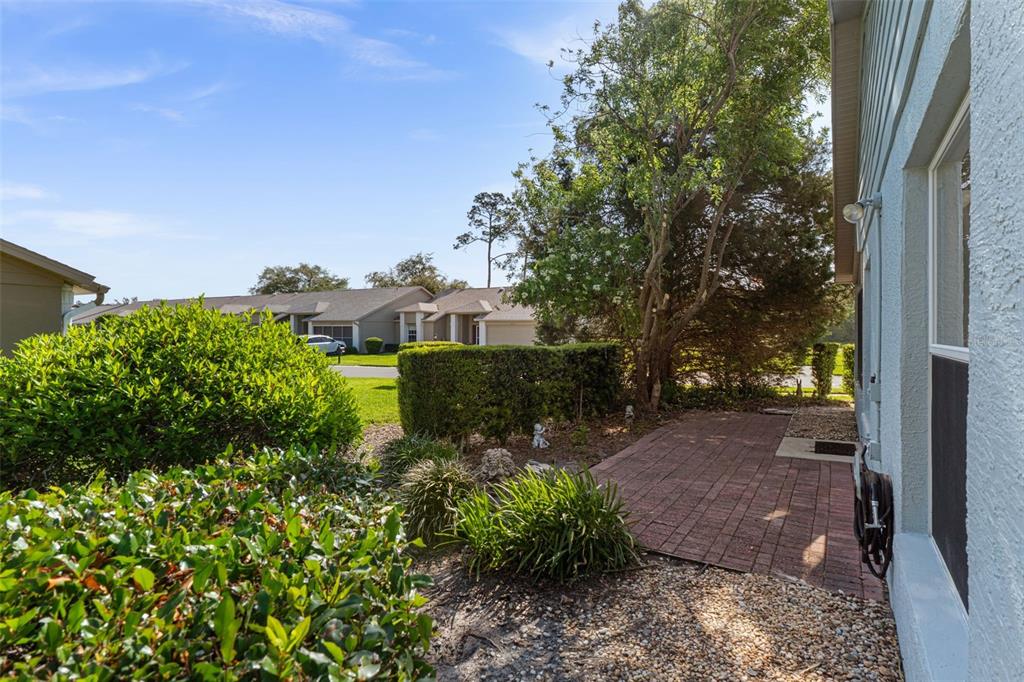 18236 Webster Grove Drive Hudson, FL 34667 - Photo 48 of 50