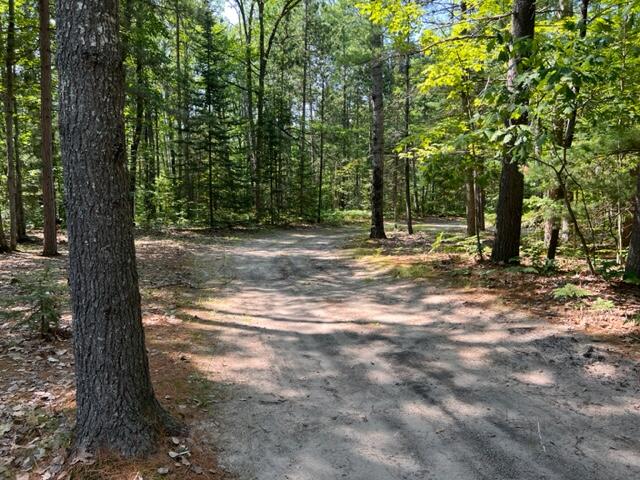 6703 Gooselake Road Indian River, MI 49749 - Photo 26 of 27 Gallery Image 26