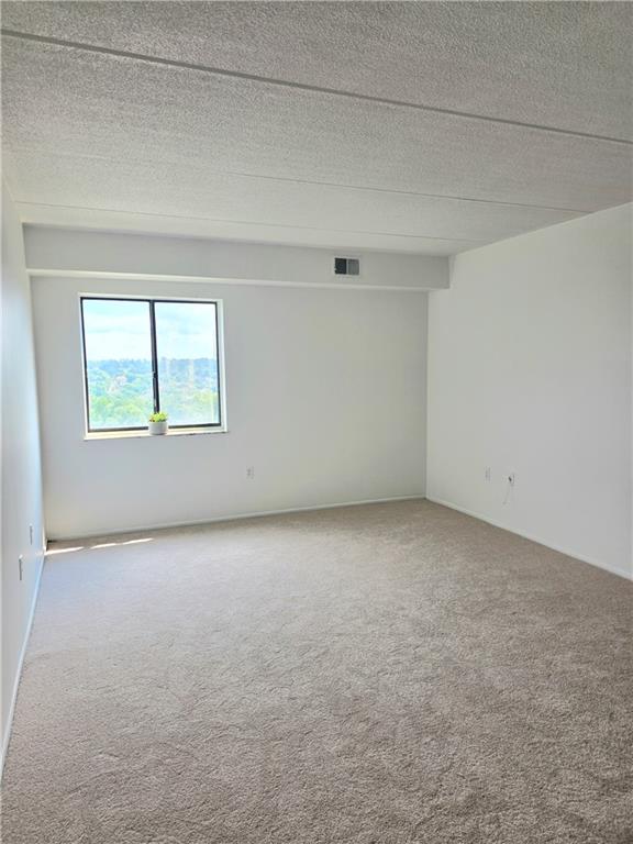 5600 Munhall Road, Unit 606 Pittsburgh, PA 15217 - Photo 22 of 32 Gallery Image 22