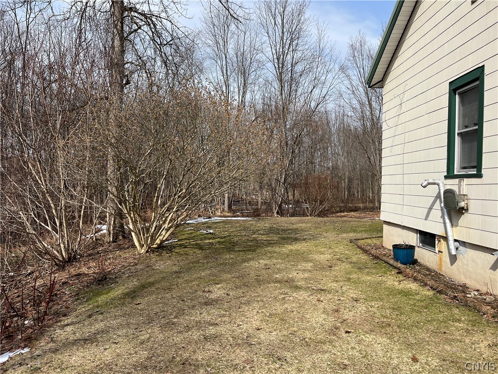 30 Cut Off Road Granby, NY 13069 - Photo 31 of 35 Side yard