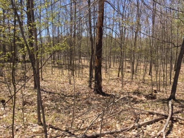 9019 Hodge Road Kingsley, MI 49649 - Photo 37 of 39 IMG_1142