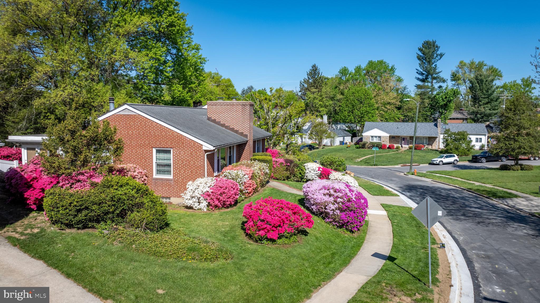 909 Weatherbee Road Towson, MD 21286 - Photo 5 of 51 a view of a house with a big yard and potted plants