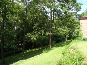 4410 Sand Pit Road Bedford, IN 47421 - Photo 12 of 18